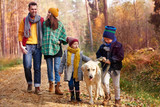 My Dog Ate An Acorn - What Should I Do? My Dog Ate An Acorn - What Should I Do?