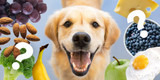 Can Dogs Eat Avocados? Answers to All of Your Questions About Feeding Dogs Vegetables