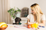 The Top 5 Summer Fruits and Veggies for Your Dog The Top 5 Summer Fruits and Veggies for Your Dog