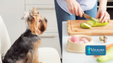 How Often Should I Feed My Dog Each Day?