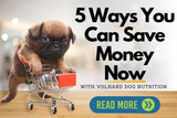 5 Ways You Can Save Money With Volhard Dog Nutrition!