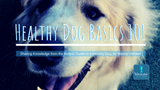 Does My Dog Need Fats? | Healthy Dog Basics 101 Does My Dog Need Fats? | Healthy Dog Basics 101