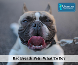 Bad Breath Pets: What To Do? Bad Breath Pets: What To Do?