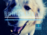 Let's Talk about Protein | Healthy Dog Basics 101