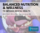 Balanced Nutrition and Wellness to Improve Dental Health