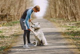 Tailoring the Volhard Diet for Dogs With Kidney Disease