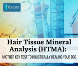 Hair Tissue Mineral Analysis (HTMA): Another Key Test to Holistically Healing Your Dog