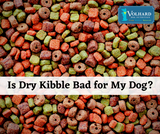Is Dry Kibble Bad for my Dog? Is Dry Kibble Bad for my Dog?