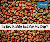 Is Dry Kibble Bad for my Dog? 