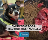 ​Overweight Dogs - Feed Them Fresh Not Less!