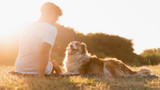 Treatment for Hot Spots on Dogs Treatment for Hot Spots on Dogs