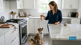 Can Dogs Eat Cooked Bacon