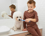 Are Your Dog's Gums Bleeding or Swollen? Everything You Need to Know about Periodontal Disease in Dogs Are Your Dog's Gums Bleeding or Swollen? Everything You Need to Know about Periodontal Disease in Dogs