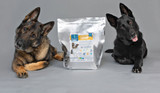 PETFOOD MAG Highlights Volhard's 50-Year Canine Nutrition Legacy!