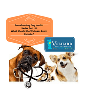 Transforming Your Dog's Health Series Part III  -  What Should the Wellness Exam Include?