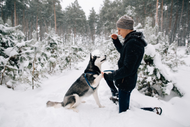 Volhard's Top 9 Tips for Training Your Puppy During the Winter