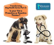 Transforming Your Dog Health Series Part II: Is your Vet a Proactive or Reactive Thinker?