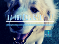 Let's Talk about Protein | Healthy Dog Basics 101