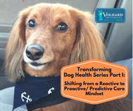 Transforming Dog Health Series Part I: Shifting from a Reactive to Proactive/ Predictive Care Mindset