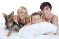 Three Dog Night – or, Should You Let Your Dog Share Your Bed?