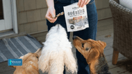 Volhard's Cod-Based Treats: The Perfect Snack for Picky Dogs!