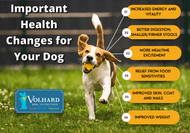 Volhard Dog Nutrition is the Best Choice for Your Dog!