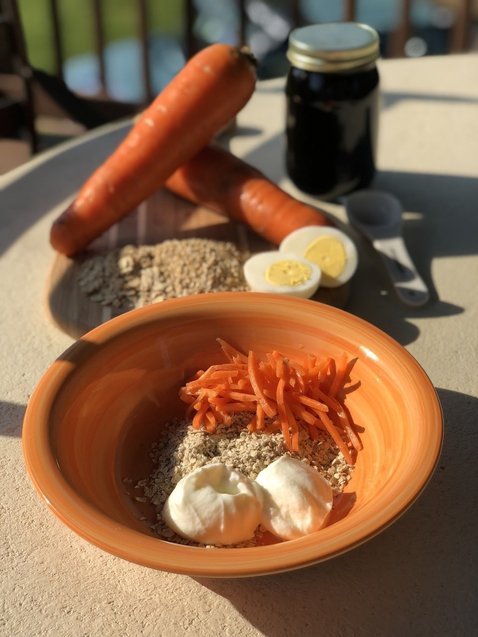 AM Porridge for Healthy Dogs from Volhard Dog Nutrition