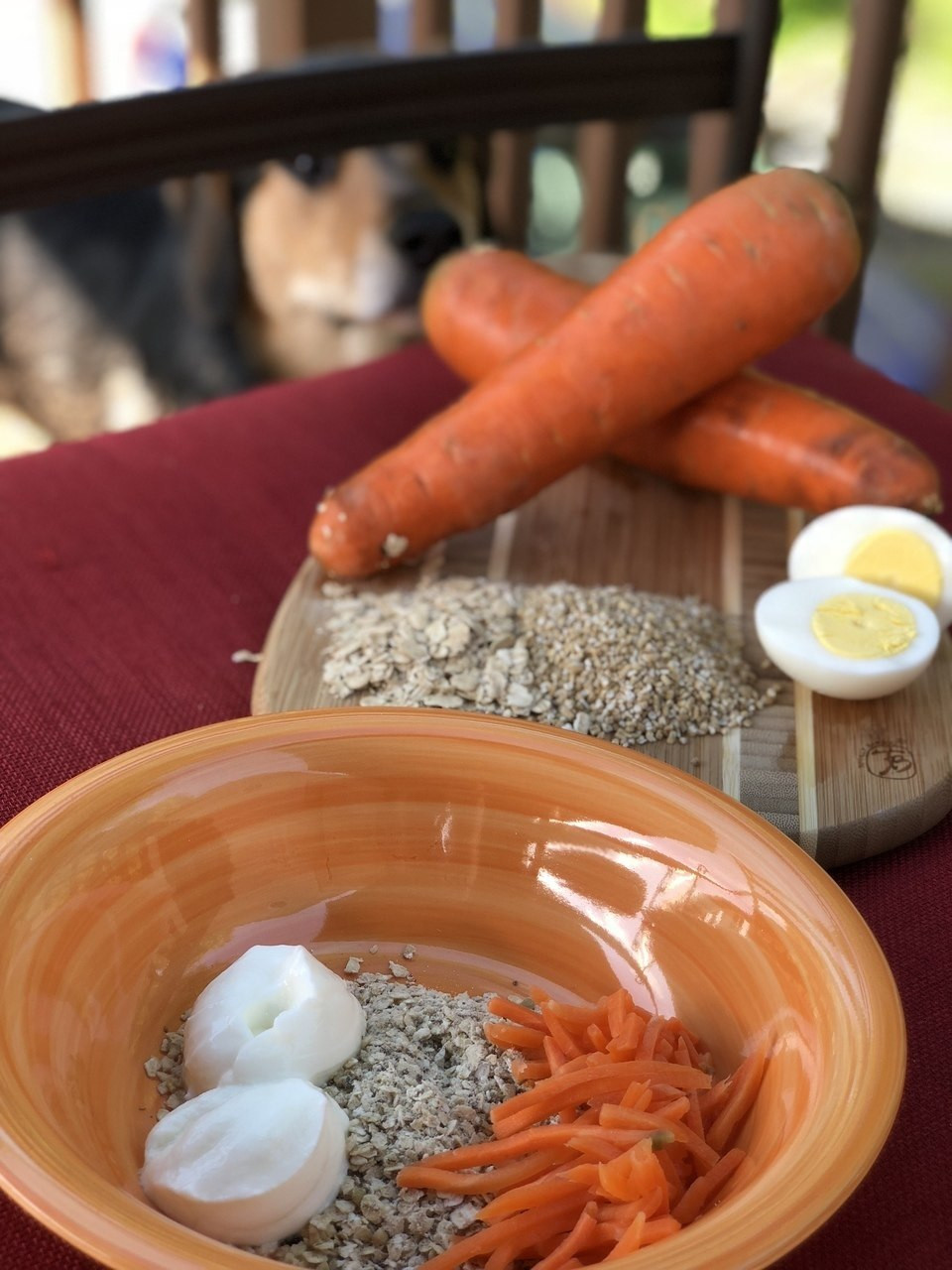 AM Porridge for Healthy Dogs from Volhard Dog Nutrition