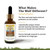 The Wolf by Adored Beast Apothecary 2 fl oz.
