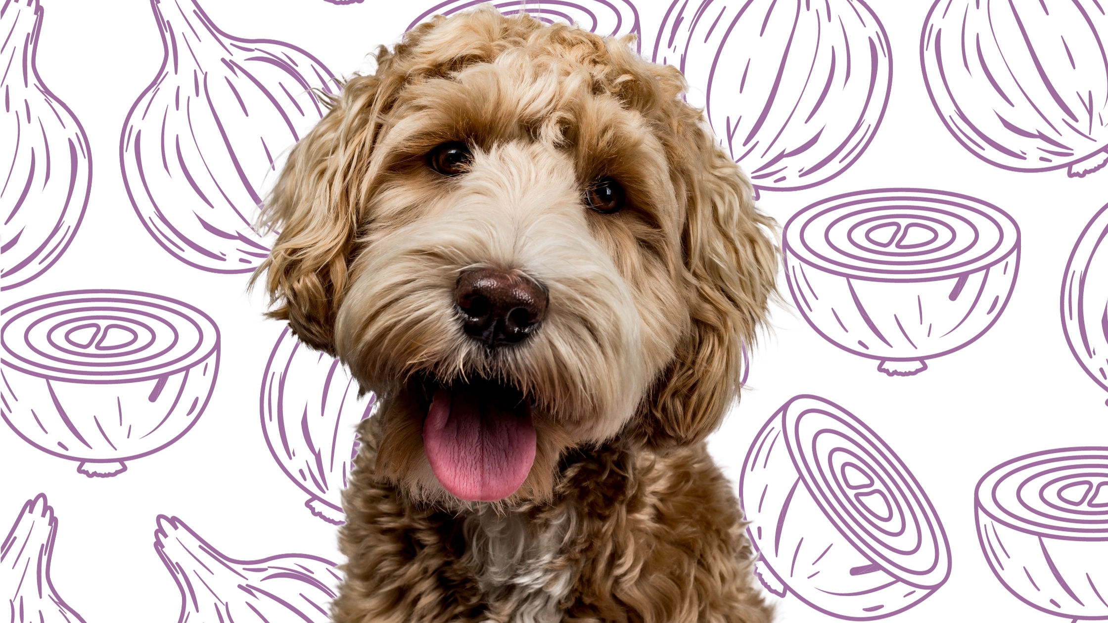 Can Dogs Eat Onions?
