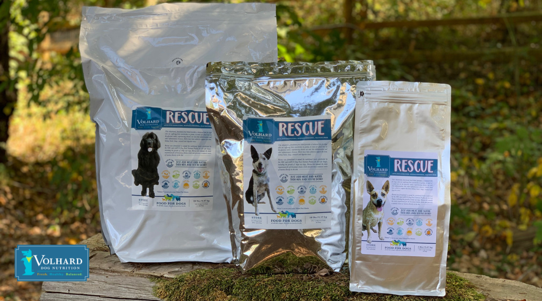 Top 10 FAQs About Volhard's Rescue Diet (What Every Dog Parent Needs to Know)