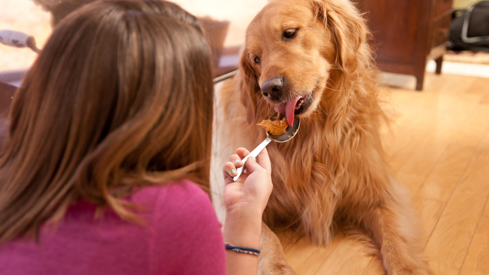 Can Dogs Have Almond Butter?