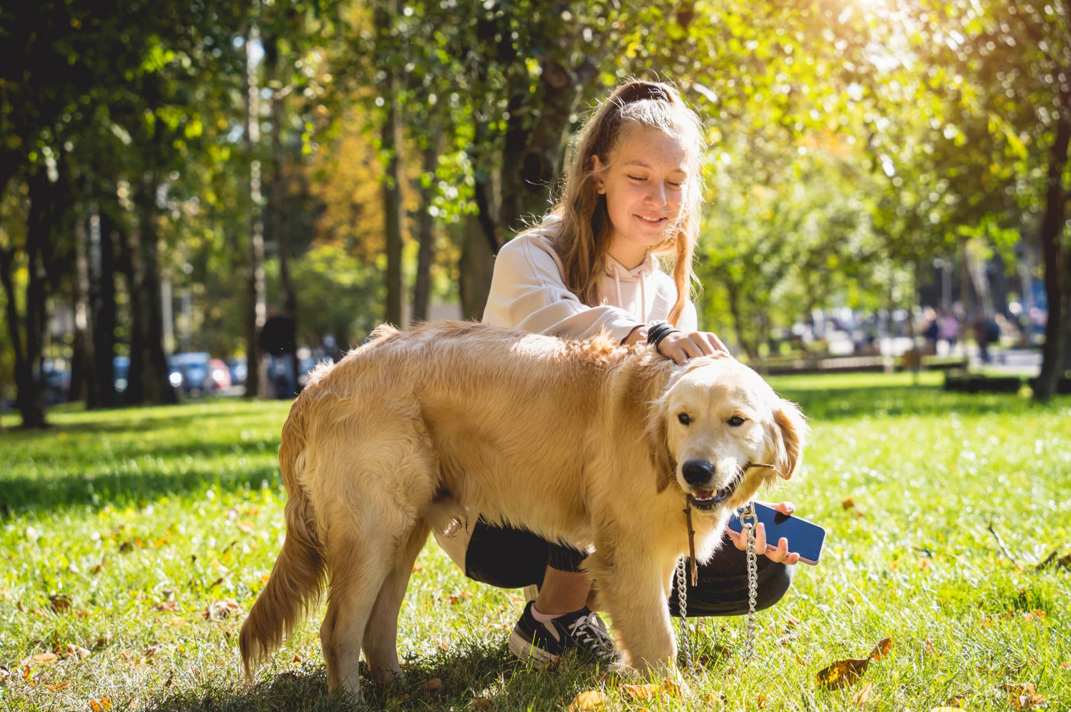 why is the tsh high in dogs who have hypothyroidism