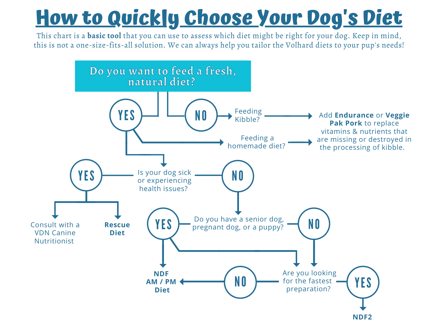 Dog diet flow chart