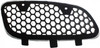 GRAND PRIX 00-01 GRILLE LH, Textured Black Shell and Insert