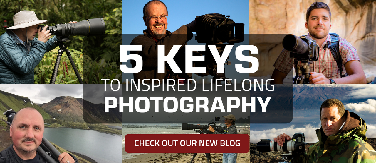 Longevity Campaign Banner