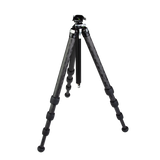 Ascend-14-BH Compact Carbon Fiber Travel Tripod: Built-In Ball Head