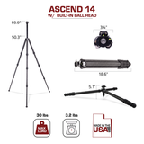 Ascend Inforgraphic 14 BH
