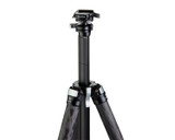 Ascend-14L-BH Tall Carbon Fiber Travel Tripod: Built-In Ball Head