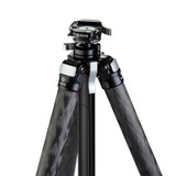 Ascend-14L-BH Tall Carbon Fiber Travel Tripod: Built-In Ball Head