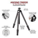 Ascend Tripod Infographic with built-in head