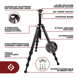 Ascend Inforgraphic