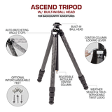 Ascend Tripod Infographic with built-in head