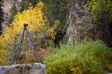 Boulder Tripod