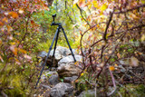 Gimbal on Versa AF Canyon