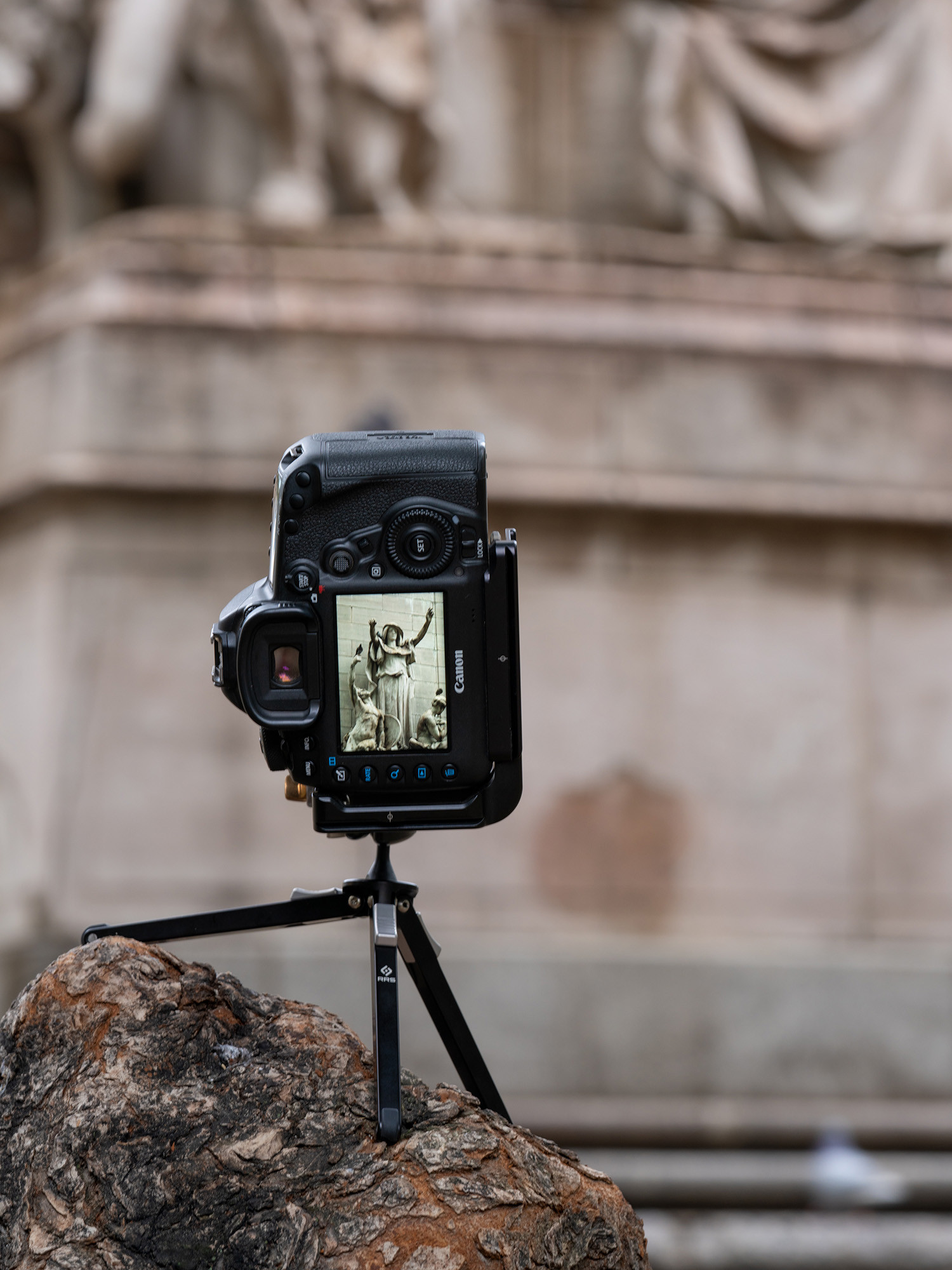 RRS: Pocket Tripod TFA-01