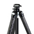 Ascend: Ball Head Close Up