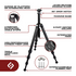 Ascend Inforgraphic