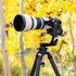 PG-02-LR MK2 Side-Mount Pano-Gimbal Head: Arca Lever Clamp