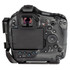 L Set Rear View